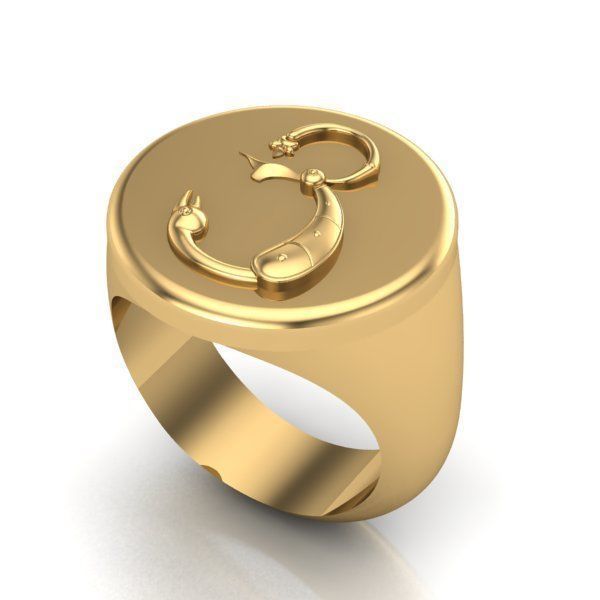 Ring trchnagir Ya 3D print model_23