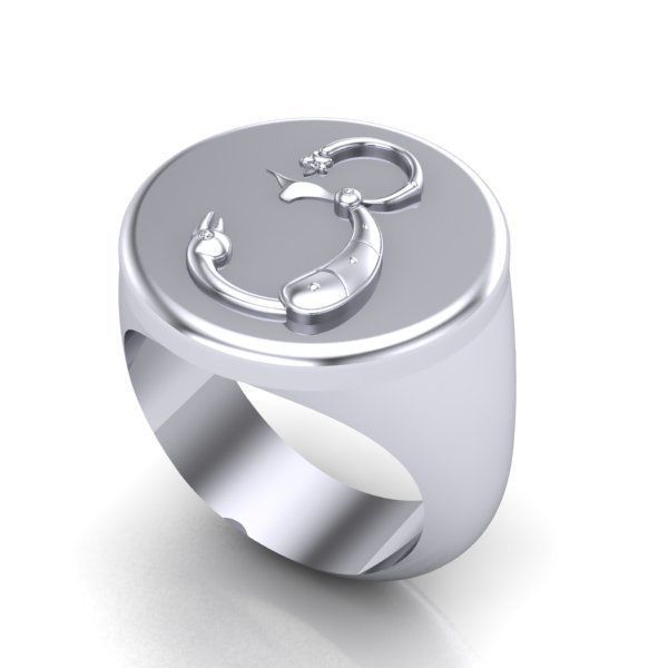 Ring trchnagir Ya 3D print model_21