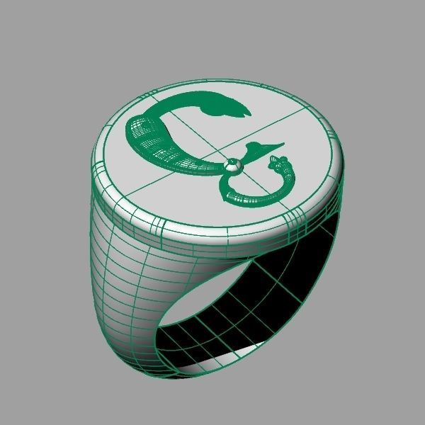 Ring trchnagir Ya 3D print model_9