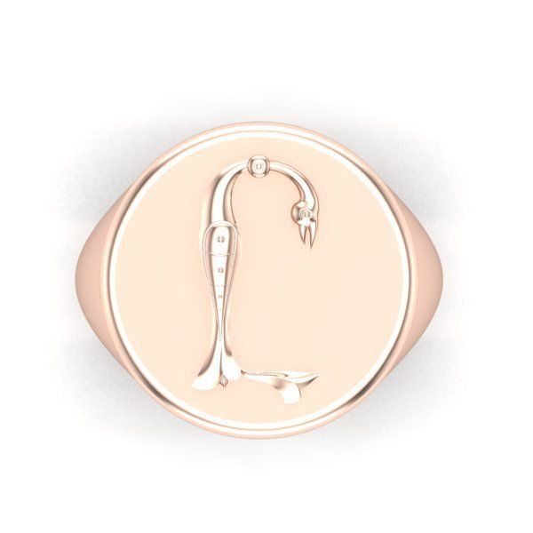 Ring trchnagir Y 3D print model_25