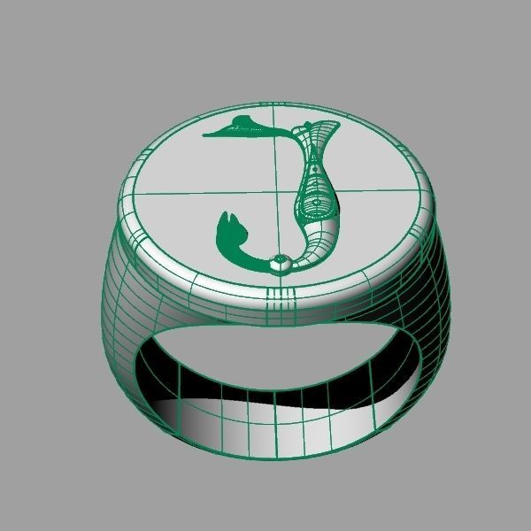 Ring trchnagir Y 3D print model_10