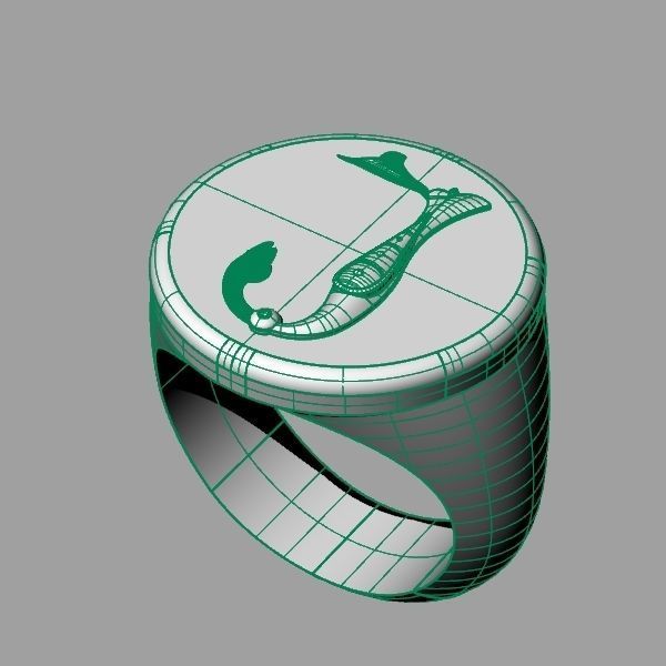 Ring trchnagir Y 3D print model_11