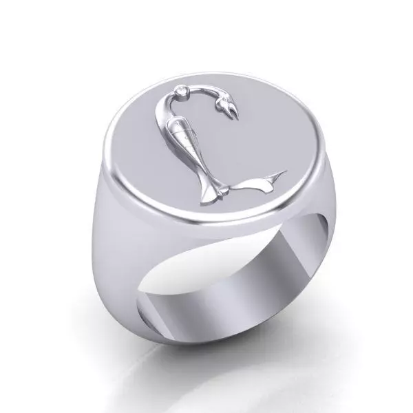 Ring trchnagir Y 3D print model_0