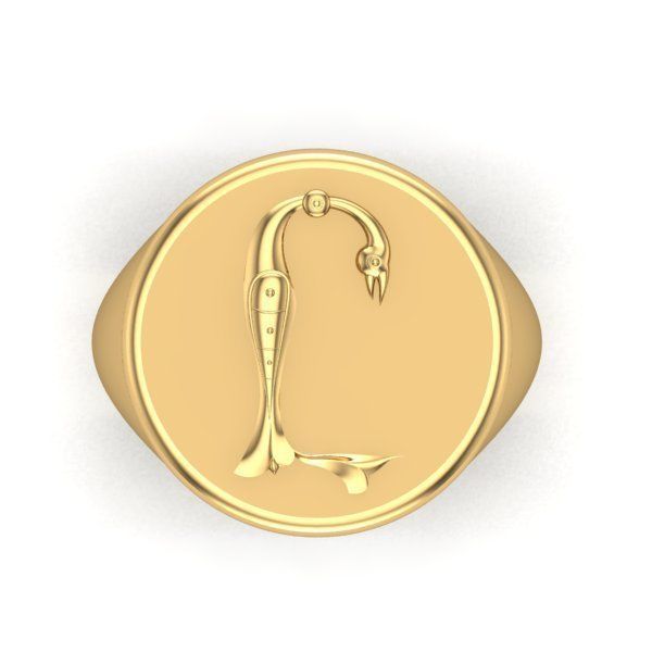 Ring trchnagir Y 3D print model_26