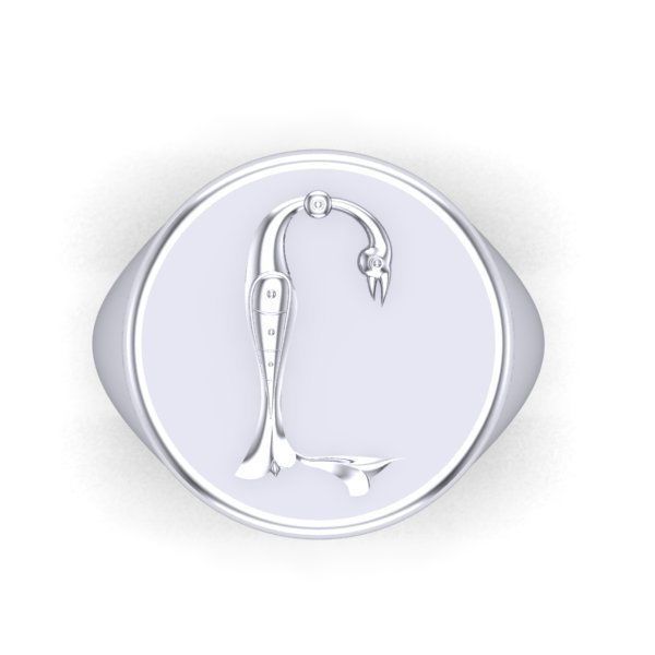 Ring trchnagir Y 3D print model_24