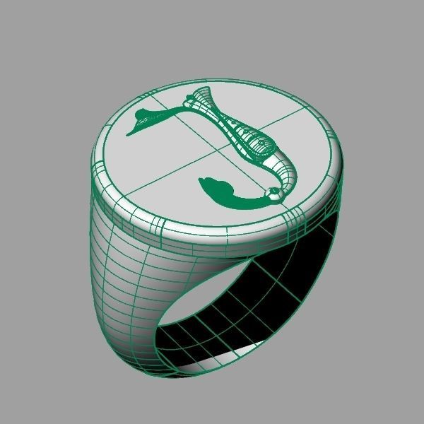 Ring trchnagir Y 3D print model_9