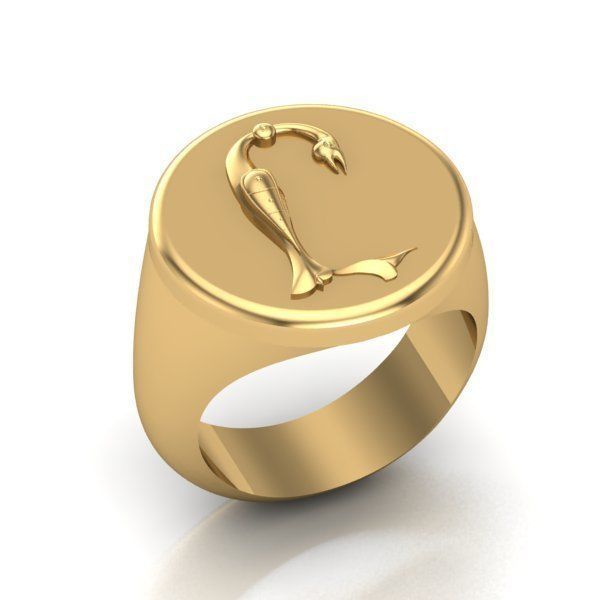 Ring trchnagir Y 3D print model_20