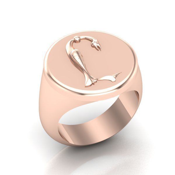 Ring trchnagir Y 3D print model_19