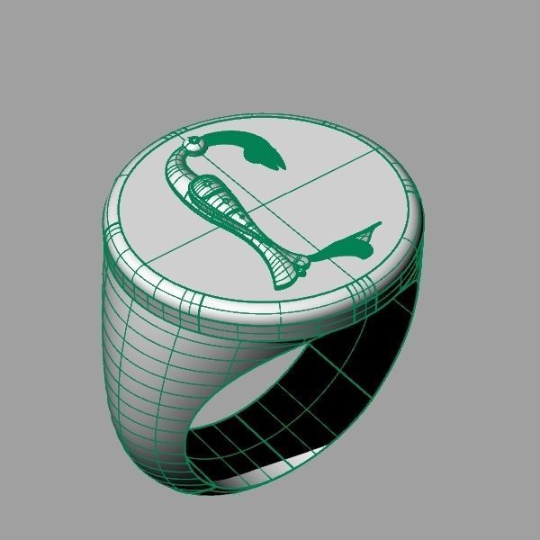 Ring trchnagir Y 3D print model_14