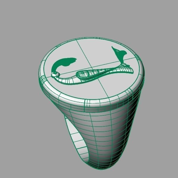 Ring trchnagir Y 3D print model_12