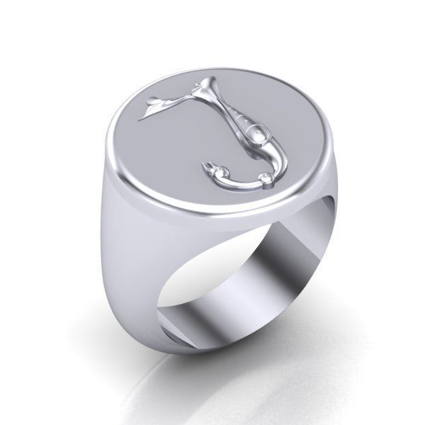 Ring trchnagir Y 3D print model_16