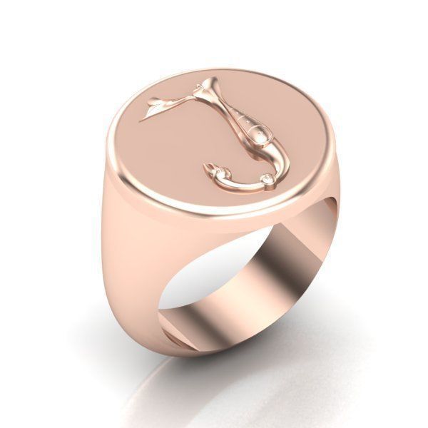 Ring trchnagir Y 3D print model_17