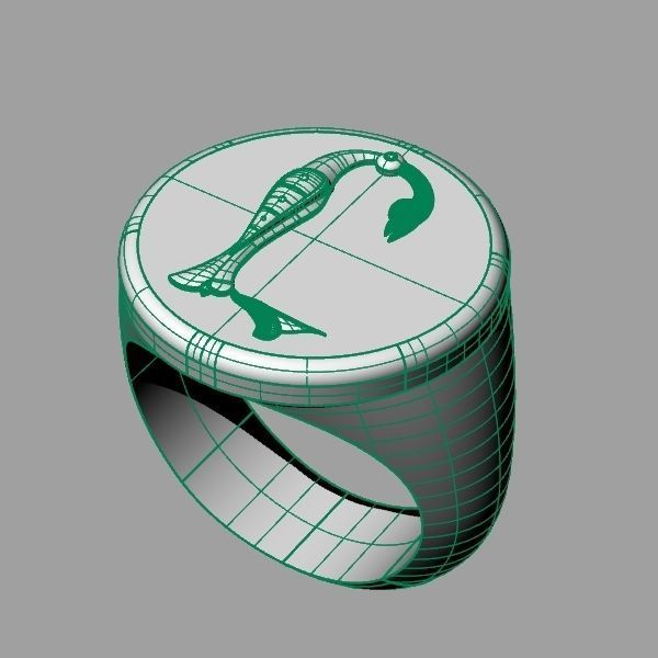 Ring trchnagir Y 3D print model_6