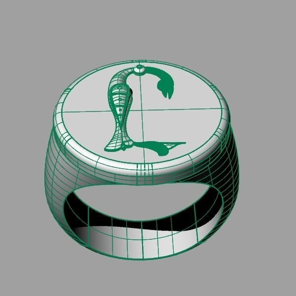 Ring trchnagir Y 3D print model_15