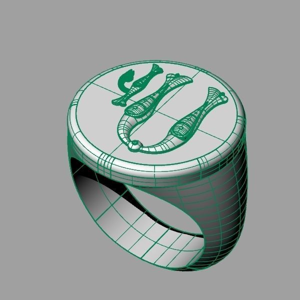 Ring trchnagir U 3D print model_11