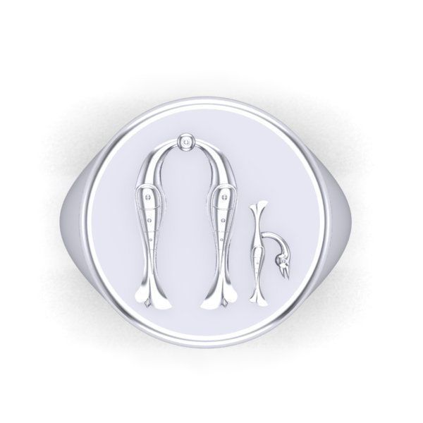 Ring trchnagir U 3D print model_24