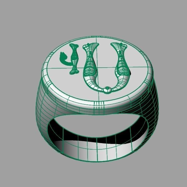 Ring trchnagir U 3D print model_10