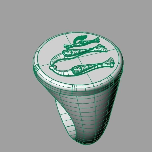 Ring trchnagir U 3D print model_12