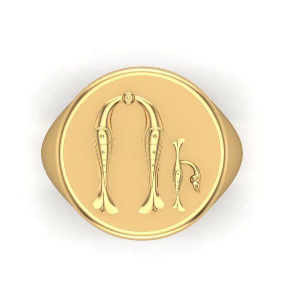 Ring trchnagir U 3D print model_26