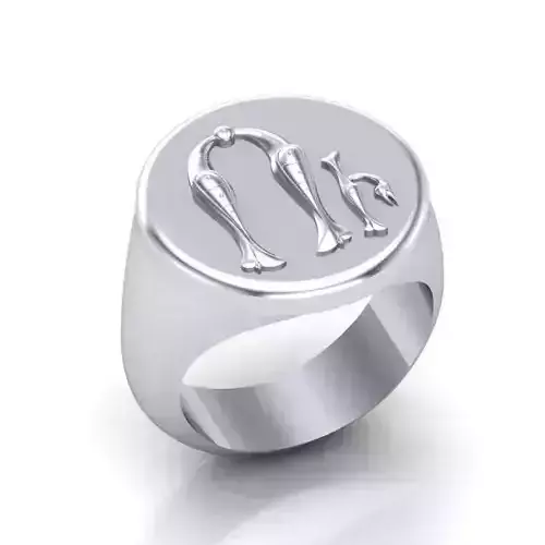 Ring trchnagir U