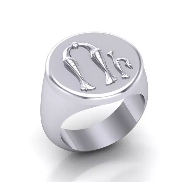 Ring trchnagir U 3D print model_0