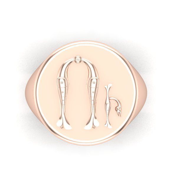 Ring trchnagir U 3D print model_25