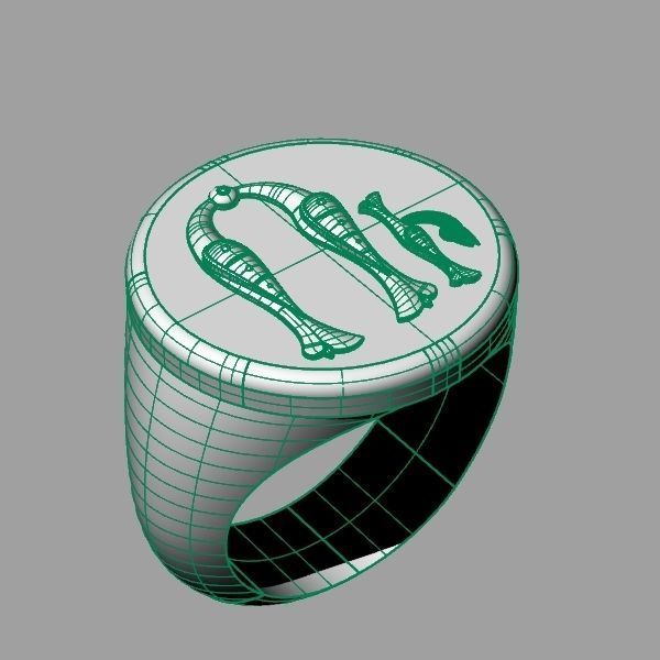 Ring trchnagir U 3D print model_14