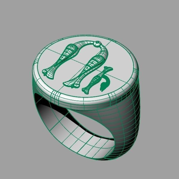 Ring trchnagir U 3D print model_6