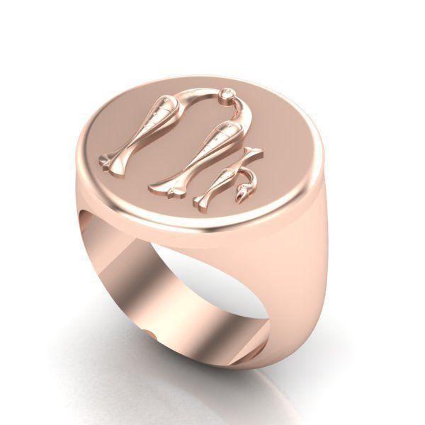 Ring trchnagir U 3D print model_22