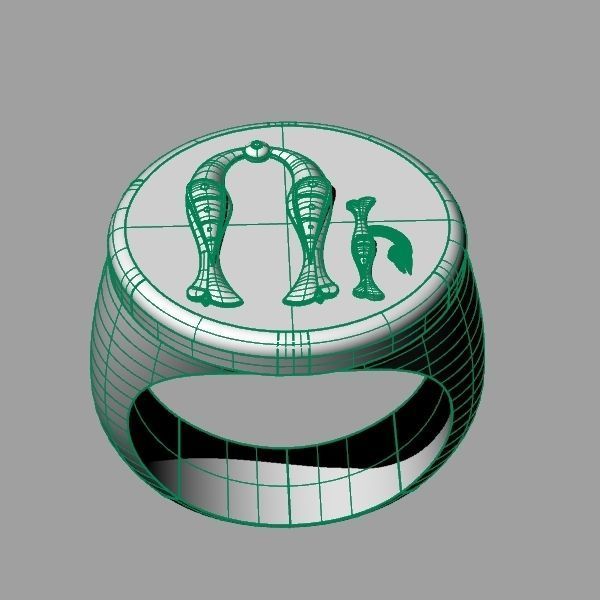 Ring trchnagir U 3D print model_15