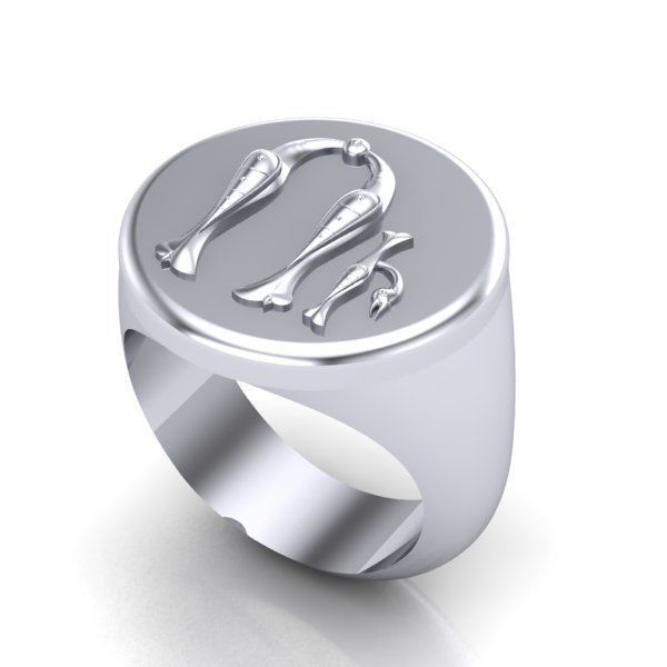 Ring trchnagir U 3D print model_21