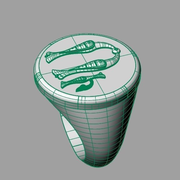 Ring trchnagir U 3D print model_7