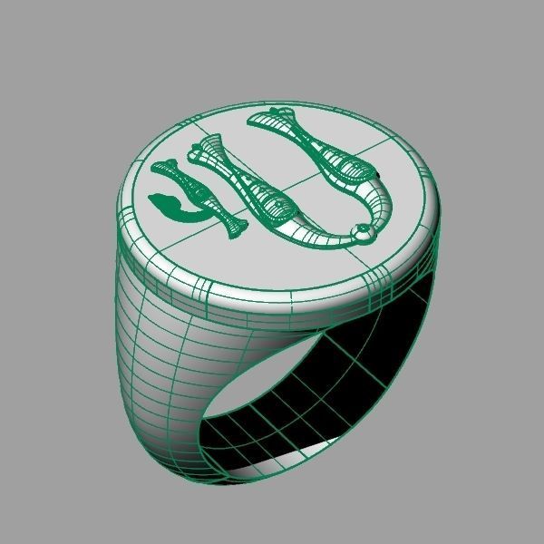 Ring trchnagir U 3D print model_9