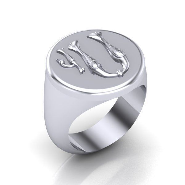 Ring trchnagir U 3D print model_16