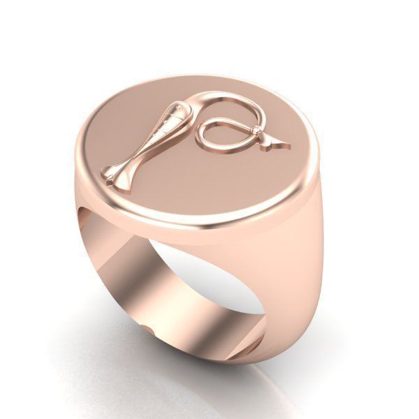 Ring trchnagir The 3D print model_22