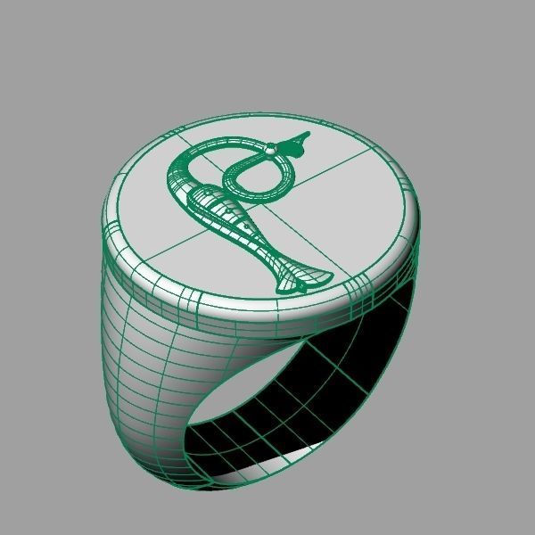 Ring trchnagir The 3D print model_14