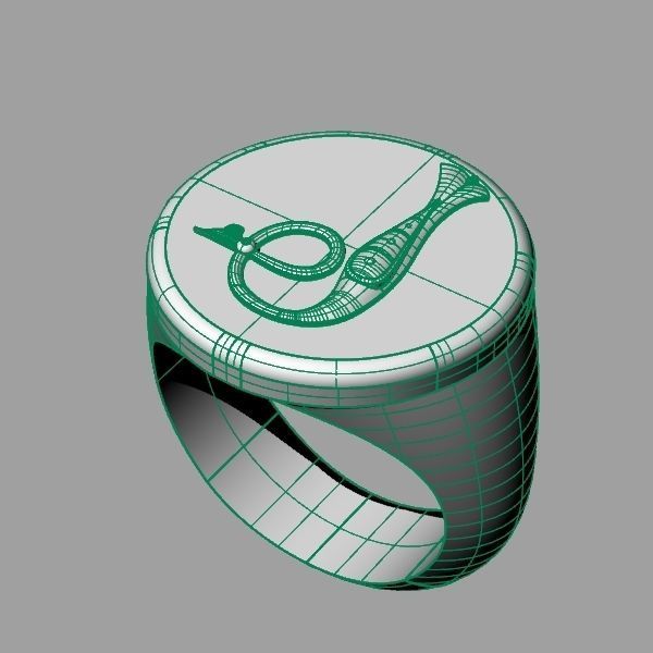 Ring trchnagir The 3D print model_11