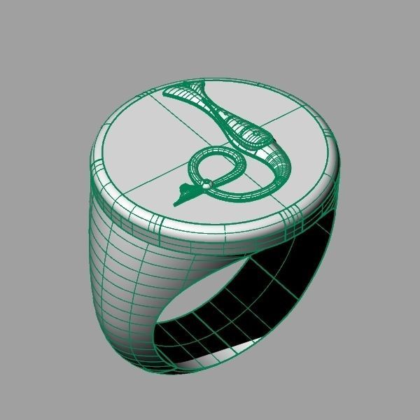 Ring trchnagir The 3D print model_9