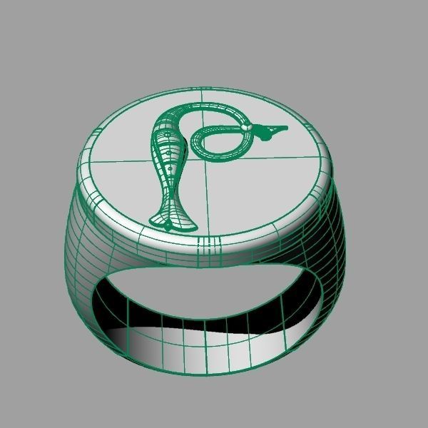 Ring trchnagir The 3D print model_15