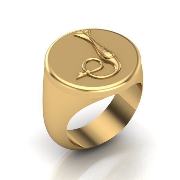 Ring trchnagir The 3D print model_18