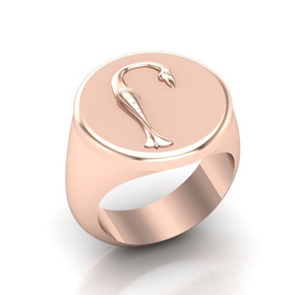 Ring trchnagir Rh 3D print model_19