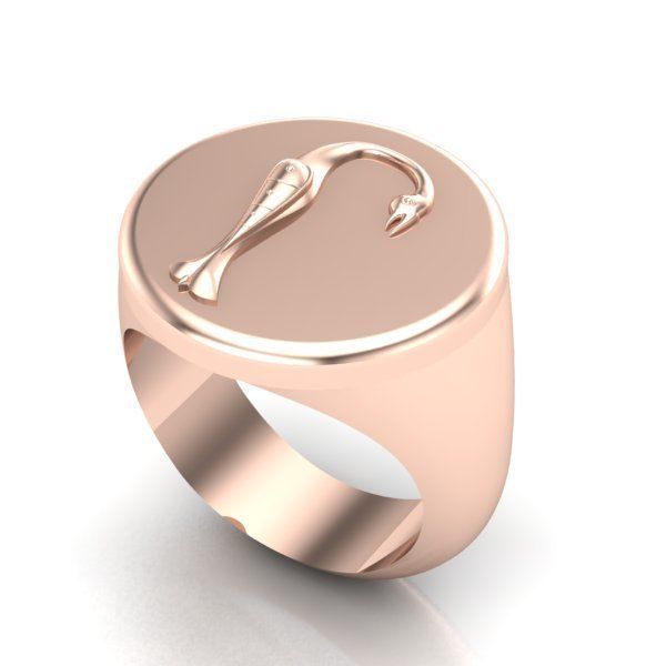 Ring trchnagir Rh 3D print model_22