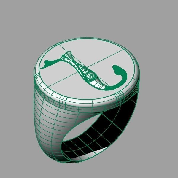 Ring trchnagir N 3D print model_14