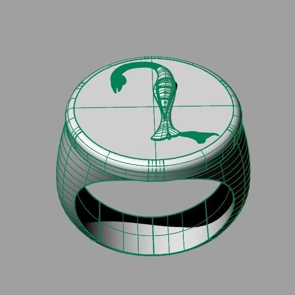 Ring trchnagir N 3D print model_10