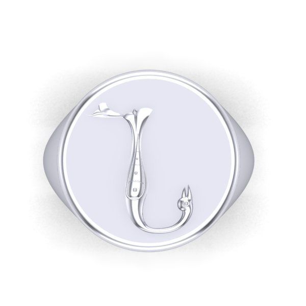 Ring trchnagir N 3D print model_24