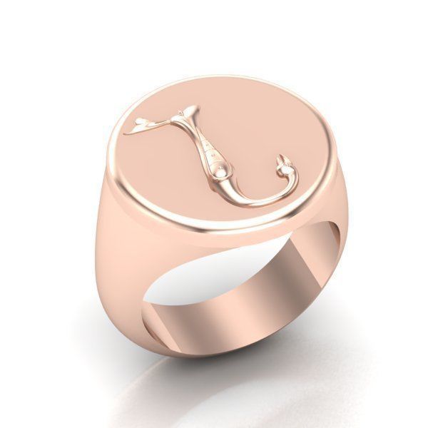 Ring trchnagir N 3D print model_19