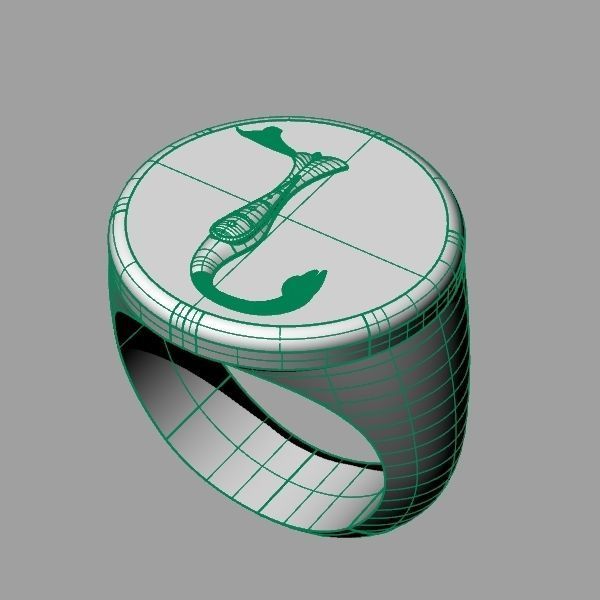 Ring trchnagir N 3D print model_6