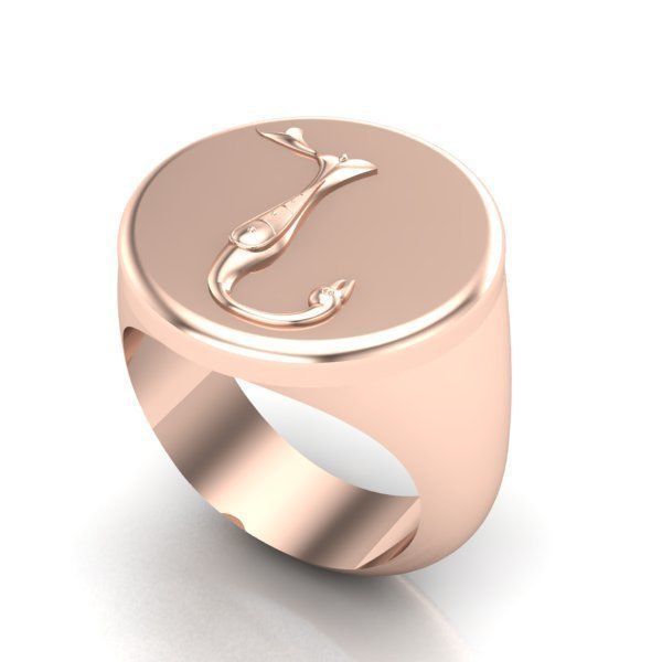 Ring trchnagir N 3D print model_22