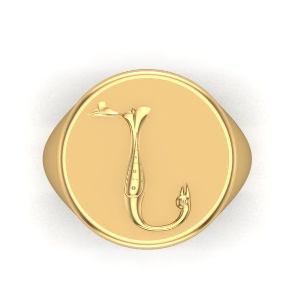 Ring trchnagir N 3D print model_26