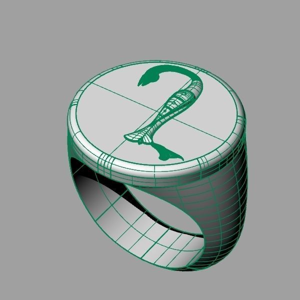 Ring trchnagir N 3D print model_11